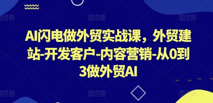 AI闪电做外贸实战课，​外贸建站-开发客户-内容营销-从0到3做外贸AI-数屿科技资源网