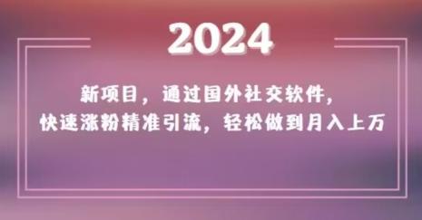 2024新项目，通过国外社交软件，快速涨粉精准引流，轻松做到月入上万【揭秘】-数屿科技资源网