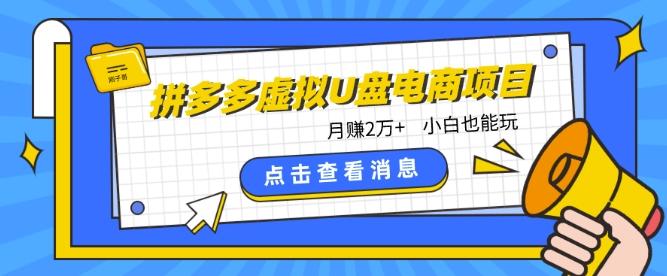 拼多多虚拟U盘电商红利项目：月赚2万+，新手小白也能玩-数屿科技资源网