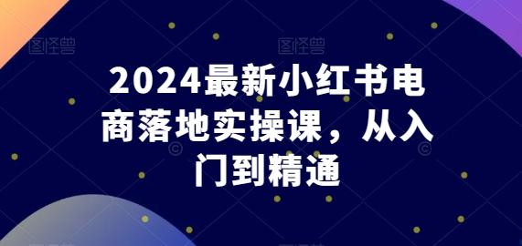2024最新小红书电商落地实操课,从入门到精通-数屿科技资源网