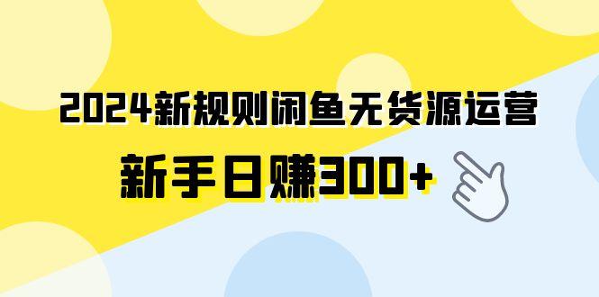(9522期)2024新规则闲鱼无货源运营新手日赚300+-数屿科技资源网