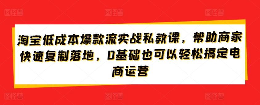 淘宝低成本爆款流实战私教课，帮助商家快速复制落地，0基础也可以轻松搞定电商运营-数屿科技资源网