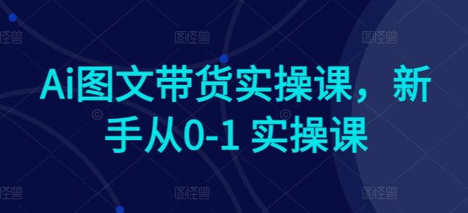 Ai图文带货实操课，新手从0-1 实操课-数屿科技资源网