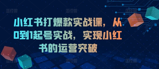小红书打爆款实战课，从0到1起号实战，实现小红书的运营突破-数屿科技资源网