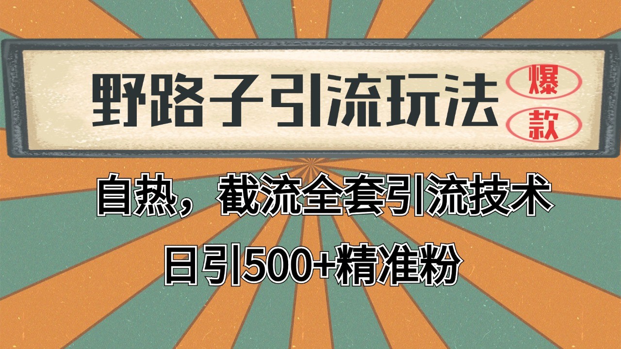 抖音小红书视频号全平台引流打法，全自动引流日引2000+精准客户-数屿科技资源网