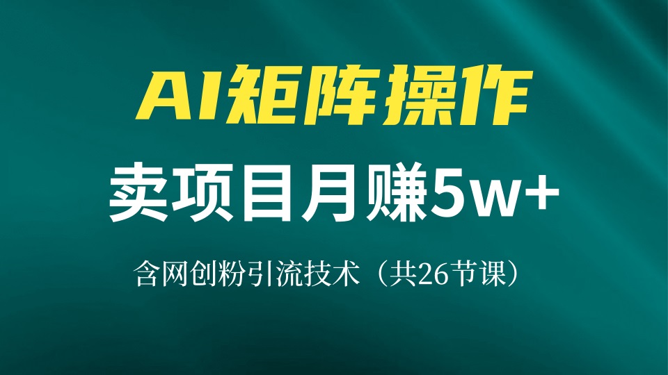 网创IP打造课,借助AI卖项目月赚5万+,含引流技术(共26节课-数屿科技资源网