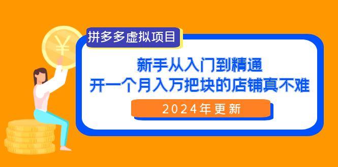 (9744期)拼多多虚拟项目：入门到精通，开一个月入万把块的店铺 真不难(24年更新)-数屿科技资源网
