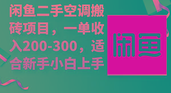 (9539期)闲鱼二手空调搬砖项目，一单收入200-300，适合新手小白上手-数屿科技资源网
