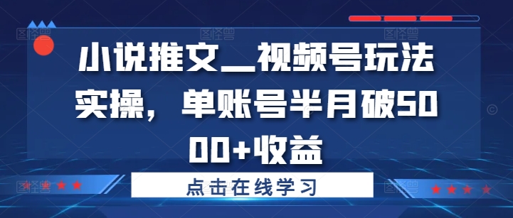 小说推文—视频号玩法实操，单账号半月破5000+收益-数屿科技资源网
