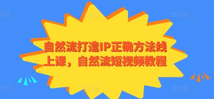 自然流打造IP正确方法线上课，自然流短视频教程-数屿科技资源网