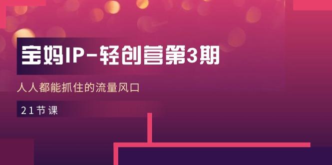 宝妈IP-轻创营第3期，人人都能抓住的流量风口(21节课-数屿科技资源网