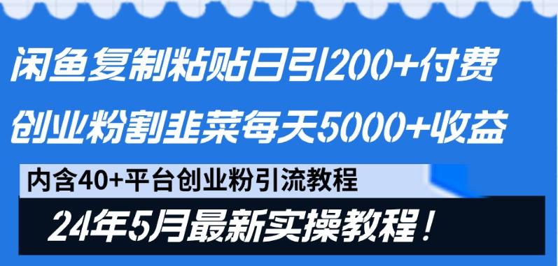闲鱼复制粘贴日引200+付费创业粉，24年5月最新方法！割韭菜日稳定5000+收益-数屿科技资源网