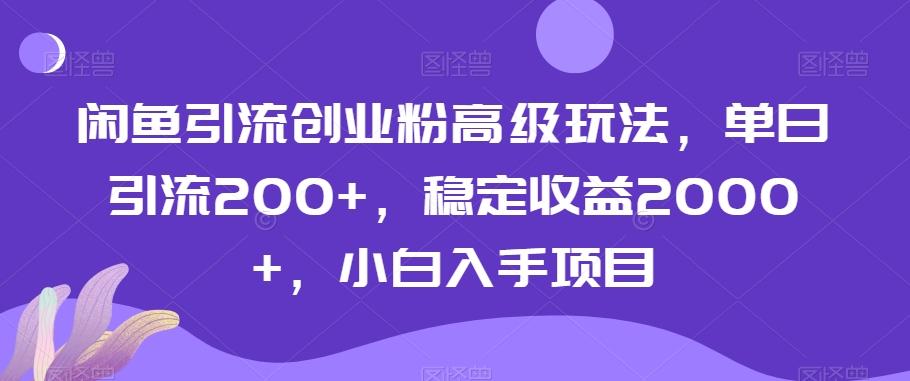 闲鱼引流创业粉高级玩法,单日引流200+,稳定收益2000+,小白入手项目-数屿科技资源网