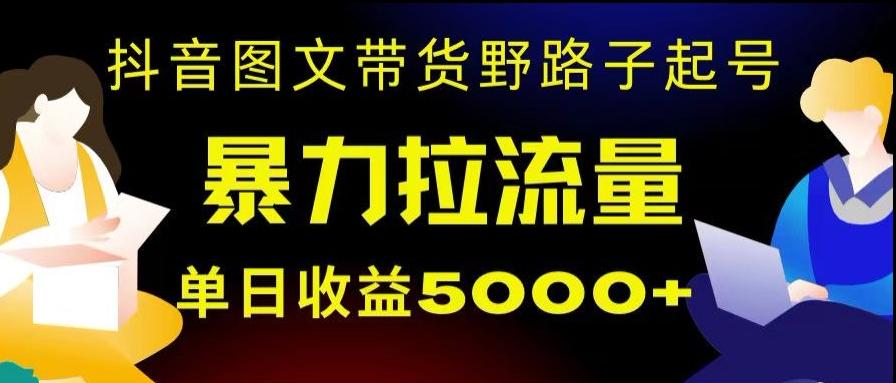抖音图文带货暴力起号，单日收益5000+，野路子玩法，简单易上手，一部手机即可【揭秘】-数屿科技资源网