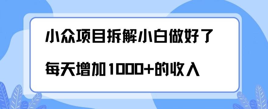 小众项目拆解,小白做好了每天可增加1000多的收入-数屿科技资源网