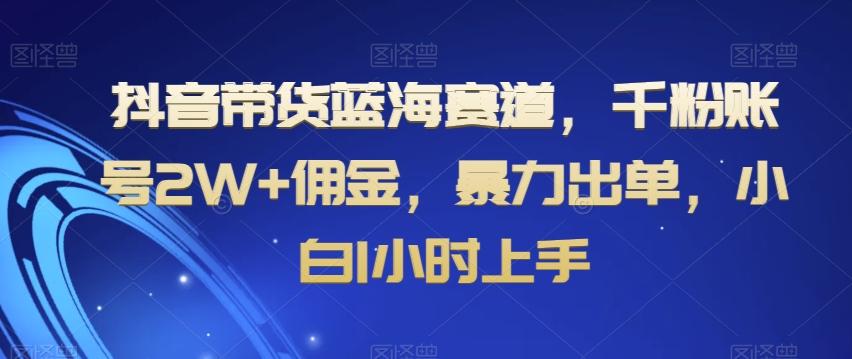 抖音带货蓝海赛道，千粉账号2W+佣金，暴力出单，小白1小时上手【揭秘】-数屿科技资源网