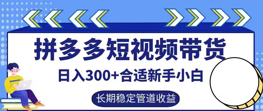 拼多多短视频带货日入300+有长期稳定被动收益，合适新手小白【揭秘】-数屿科技资源网