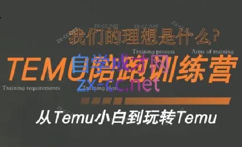苗苗·拼多多跨境（temu）课程-数屿科技资源网