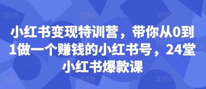 小红书变现特训营，带你从0到1做一个赚钱的小红书号，24堂小红书爆款课-数屿科技资源网