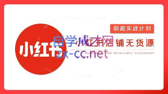 安琪·小红书店铺无货源-数屿科技资源网