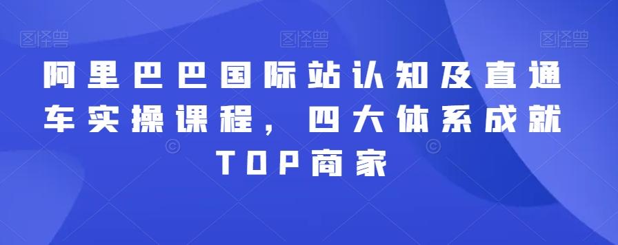 阿里巴巴国际站认知及直通车实操课程，四大体系成就TOP商家-数屿科技资源网