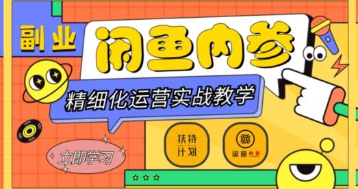 闲鱼精细化运营入门+高阶实战教学，从底层逻辑到轻松变现，多维度玩转闲鱼副业-数屿科技资源网