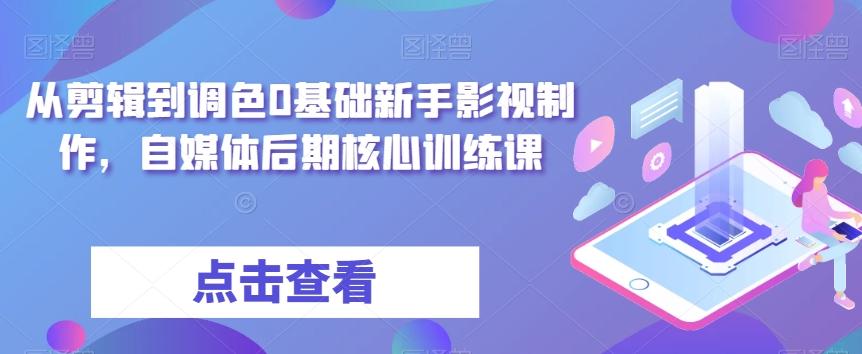 从剪辑到调色0基础新手影视制作,自媒体后期核心训练课-数屿科技资源网