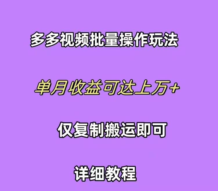 (10029期)拼多多视频带货快速过爆款选品教程 每天轻轻松松赚取三位数佣金 小白必…-数屿科技资源网