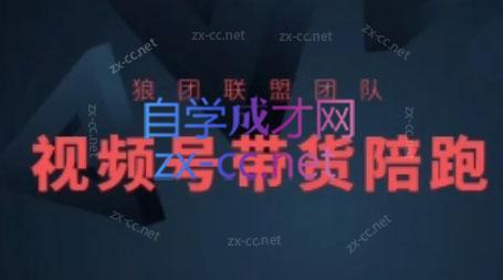 狼团联盟·2024视频号带货-数屿科技资源网