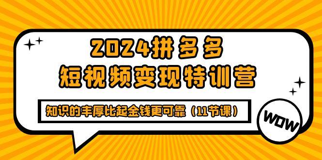 (9817期)2024拼多多短视频变现特训营，知识的丰厚比起金钱更可靠(11节课)-数屿科技资源网