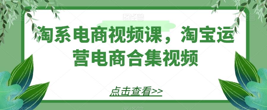 淘系电商视频课，淘宝运营电商合集视频-数屿科技资源网