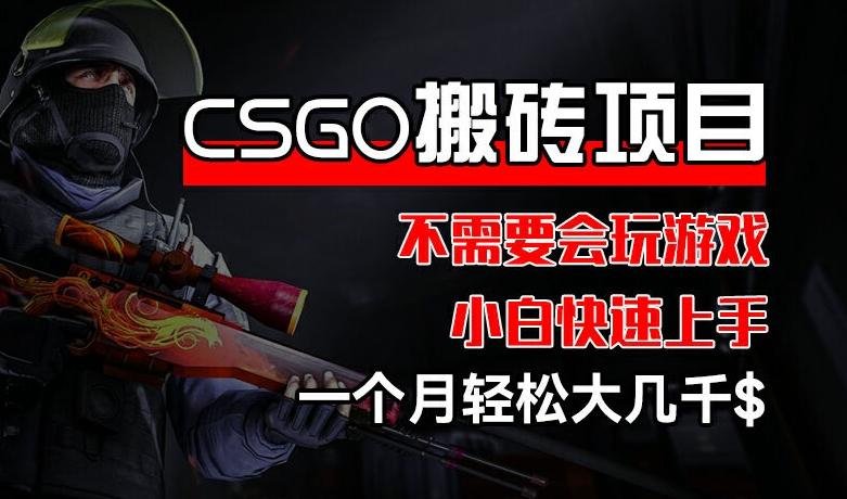 CSGO 装备搬砖项目，操作简单，不需要会玩游戏，小白也能快速上手，一个月轻松大几千【揭秘】-数屿科技资源网