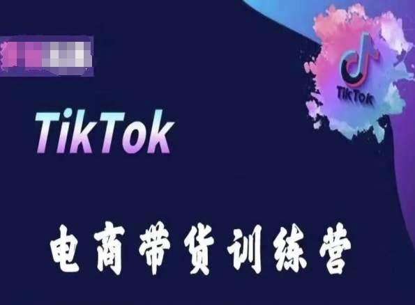 TikTok电商带货训练营，跟随时代潮流，跨境掘金-数屿科技资源网