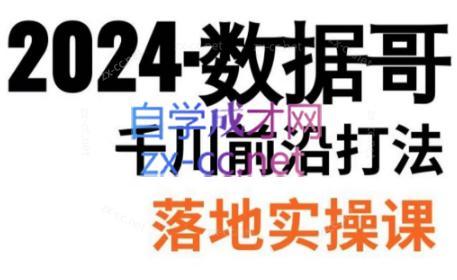 数据哥·2024年千川前沿打法落地实操课-数屿科技资源网