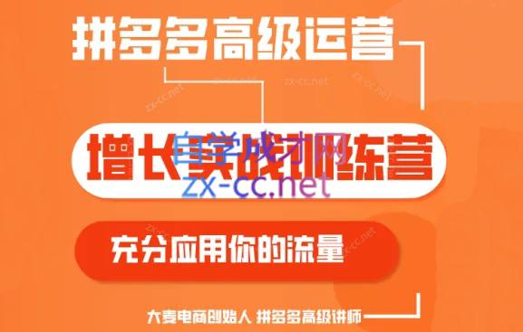 大麦老师·拼多多单品爆款打造课程(更新6月)-数屿科技资源网