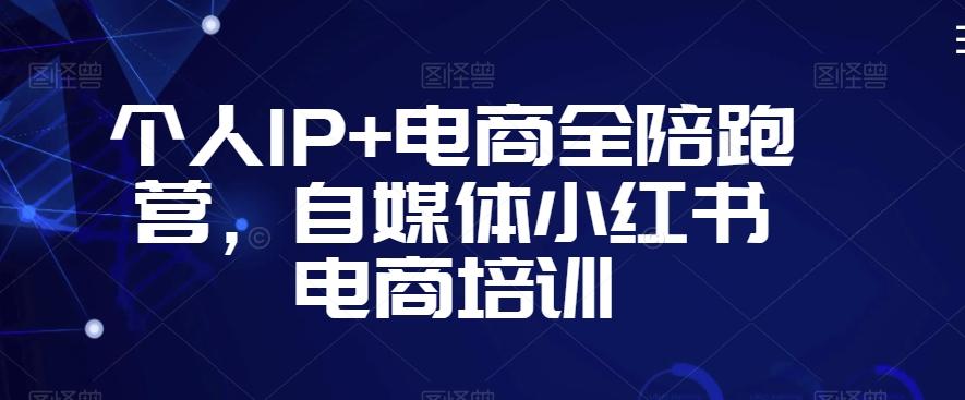 个人IP+电商全陪跑营，自媒体小红书电商培训-数屿科技资源网