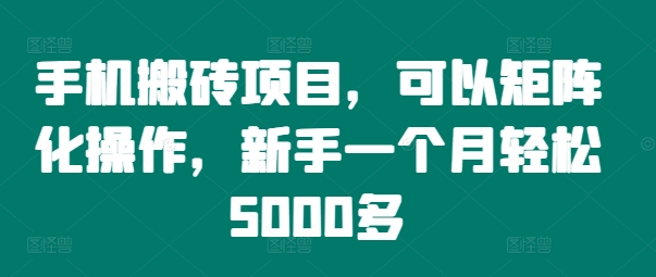 手机搬砖项目，可以矩阵化操作，新手一个月轻松5000多-数屿科技资源网
