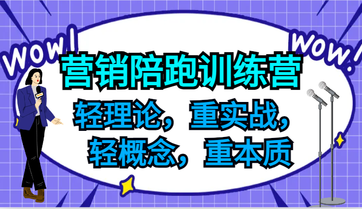 营销陪跑训练营，轻理论，重实战，轻概念，重本质，适合中小企业和初创企业的老板-数屿科技资源网