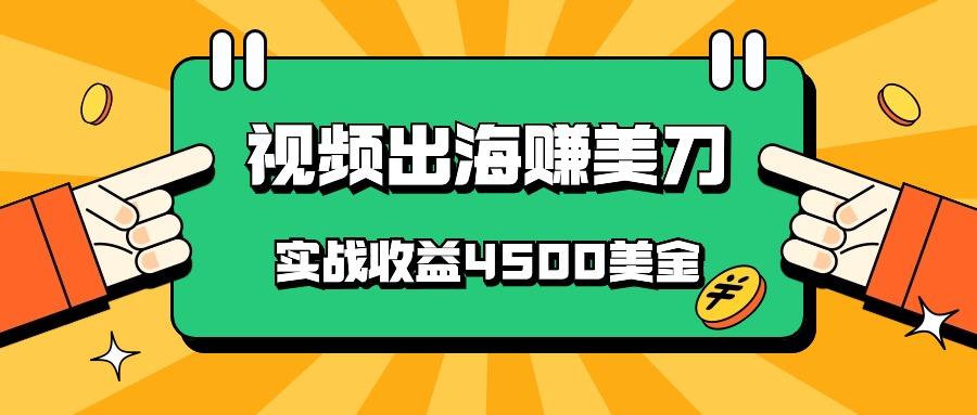 国内爆款视频出海赚美刀,实战收益4500美金,批量无脑搬运,无需经验直接上手-数屿科技资源网