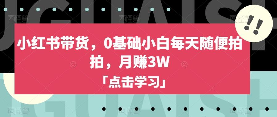 小红书带货，0基础小白每天随便拍拍，月赚3W【揭秘】-数屿科技资源网
