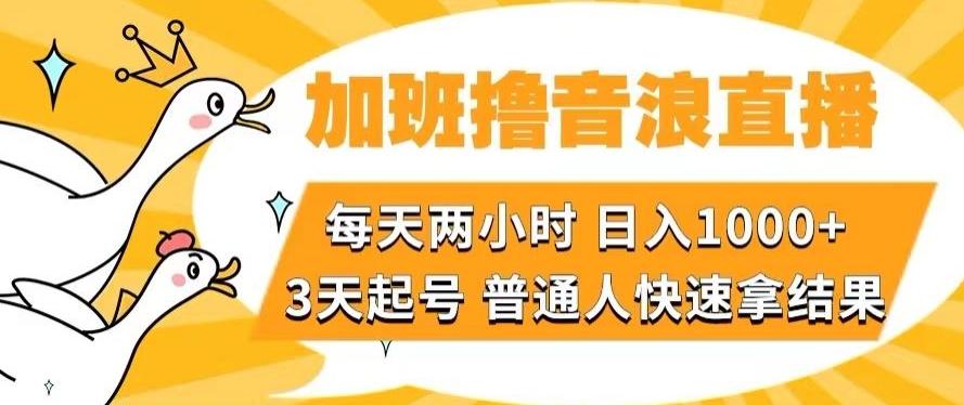 加班撸音浪直播，每天两小时，日入1000+，直播话术才3句，3天起号，普通人快速拿结果【揭秘】-数屿科技资源网