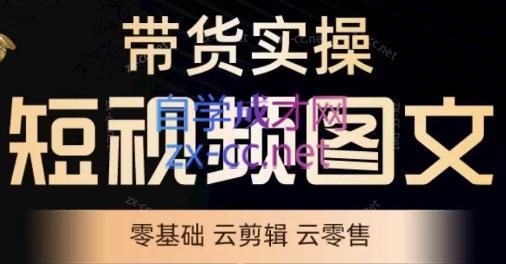 鑫哥·2024零基础短视频带货实操营-数屿科技资源网