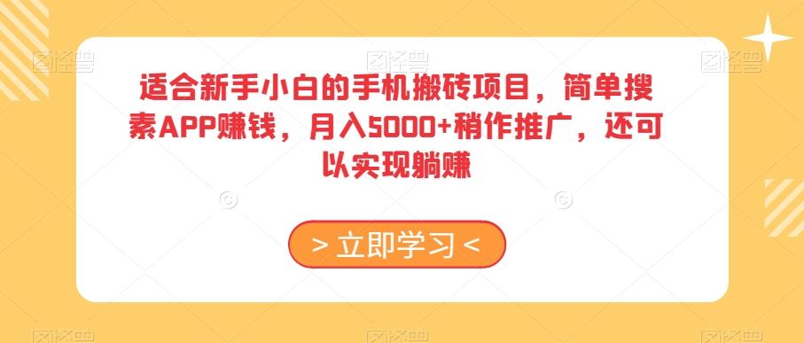 适合新手小白的手机搬砖项目，简单搜素APP赚钱，月入5000+稍作推广，还可以实现躺赚【揭秘】-数屿科技资源网