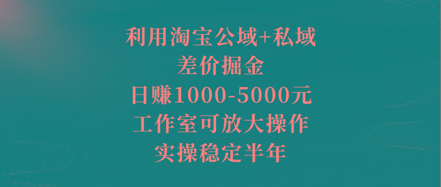 利用淘宝公域+私域差价掘金，日赚1000-5000元，工作室可放大操作，实操...-数屿科技资源网