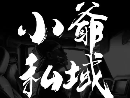 小爷·私域项目操盘手-数屿科技资源网