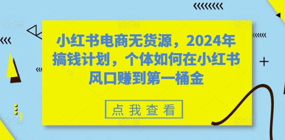 小红书电商无货源，2024年搞钱计划，个体如何在小红书风口赚到第一桶金-数屿科技资源网