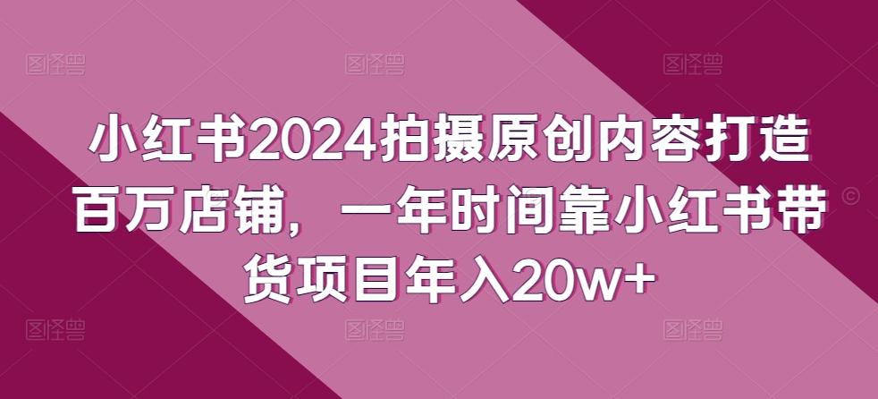 小红书2024拍摄原创内容打造百万店铺，一年时间靠小红书带货项目年入20w+-数屿科技资源网