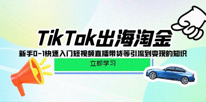 (10035期)TikTok-出海淘金,新手0-1快速入门短视频直播带货等引流到变现的知识-数屿科技资源网
