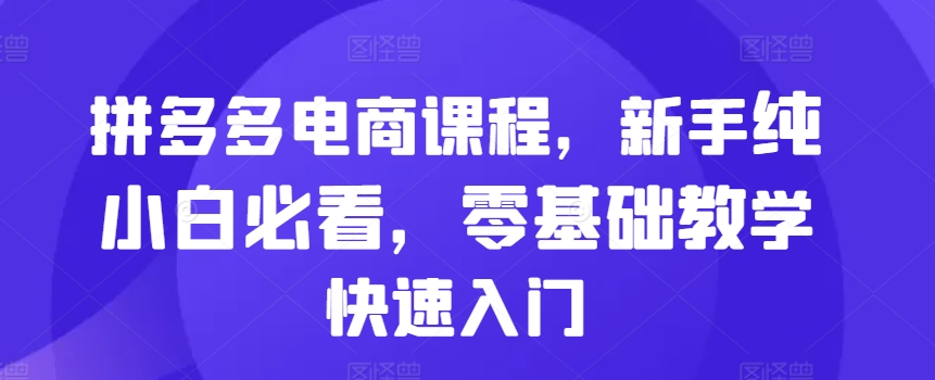 拼多多电商课程，新手纯小白必看，零基础教学快速入门-数屿科技资源网