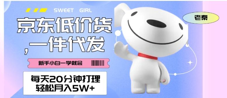 每天20分钟打理京东低价货，一件代发-轻松月入5W＋-数屿科技资源网